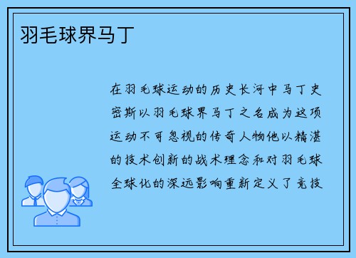 羽毛球界马丁